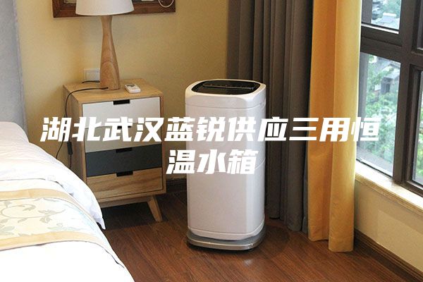 湖北武汉蓝锐供应三用恒温水箱