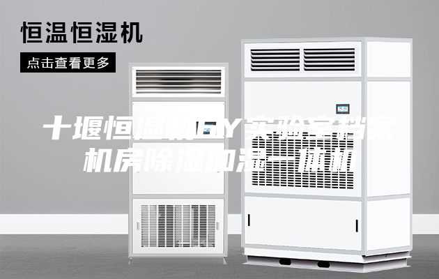 十堰恒湿机6Y实验室档案机房除湿加湿一体机