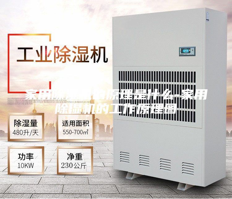 家用除湿机的原理是什么-家用除湿机的工作原理图