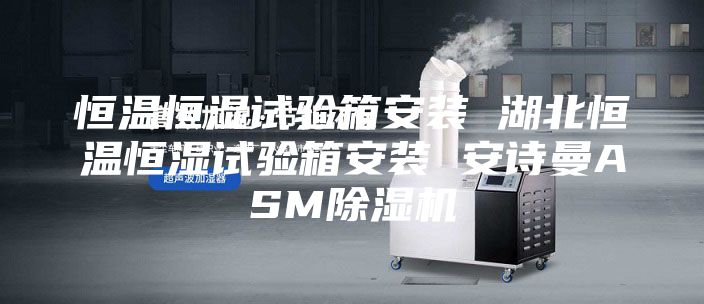 恒温恒湿试验箱安装 湖北恒温恒湿试验箱安装 安诗曼ASM除湿机