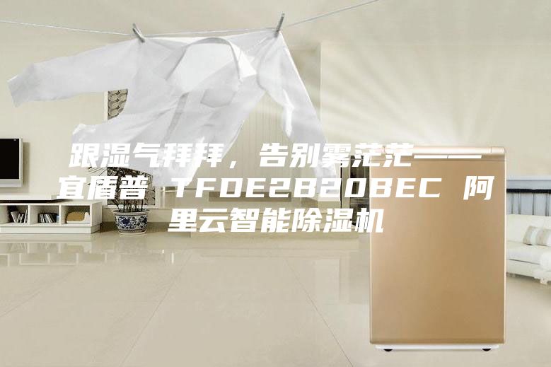 跟湿气拜拜，告别雾茫茫——宜盾普 TFDE2B20BEC 阿里云智能除湿机