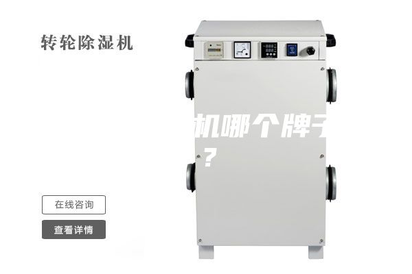 家里用除湿机哪个牌子好？