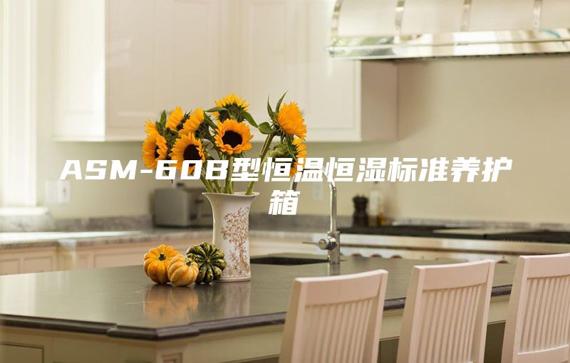 ASM-60B型恒温恒湿标准养护箱