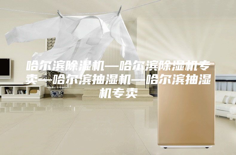 哈尔滨除湿机—哈尔滨除湿机专卖—哈尔滨抽湿机—哈尔滨抽湿机专卖
