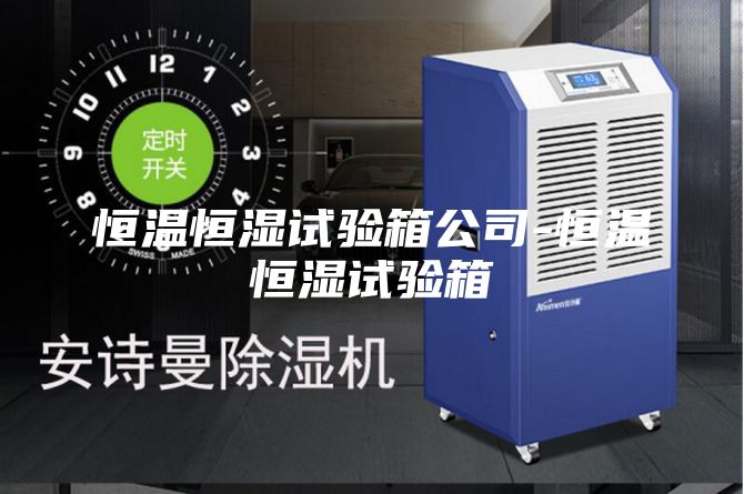 恒温恒湿试验箱公司-恒温恒湿试验箱