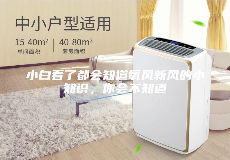 小白看了都会知道氧风新风的小知识，你会不知道