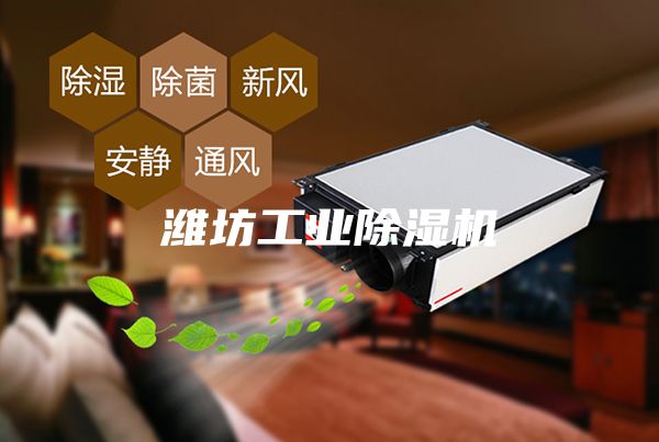 潍坊工业除湿机