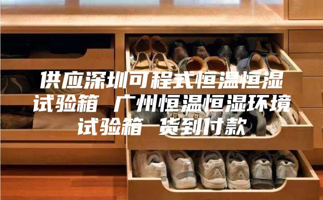 供应深圳可程式恒温恒湿试验箱 广州恒温恒湿环境试验箱 货到付款