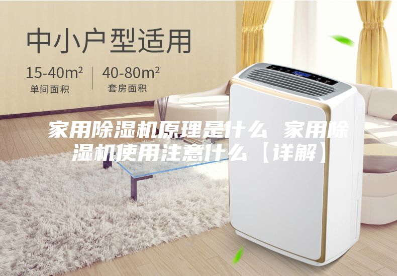 家用除湿机原理是什么 家用除湿机使用注意什么【详解】