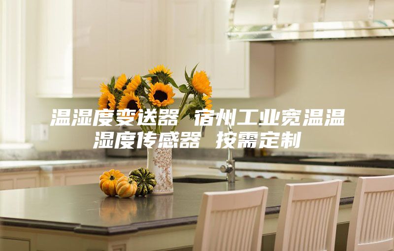 温湿度变送器 宿州工业宽温温湿度传感器 按需定制