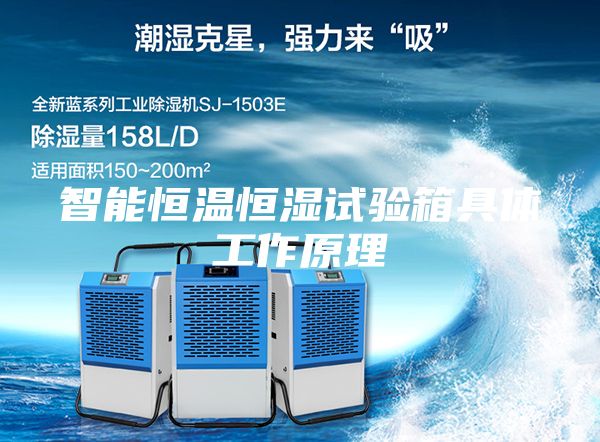 智能恒温恒湿试验箱具体工作原理