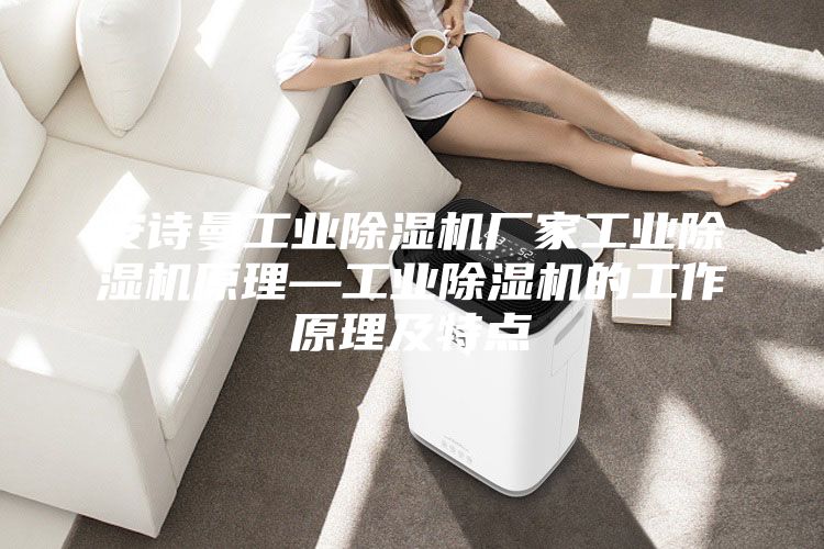 安诗曼工业除湿机厂家工业除湿机原理—工业除湿机的工作原理及特点