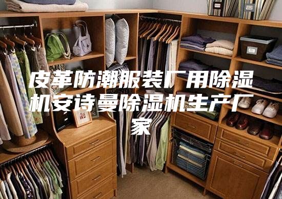 皮革防潮服装厂用除湿机安诗曼除湿机生产厂家