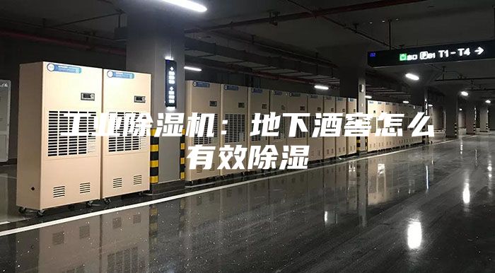 工业除湿机：地下酒窖怎么有效除湿