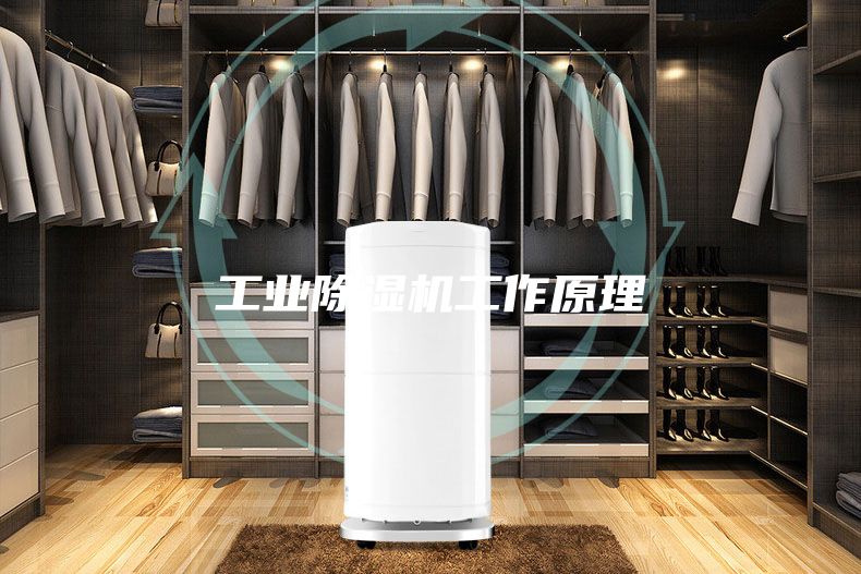 工业除湿机工作原理
