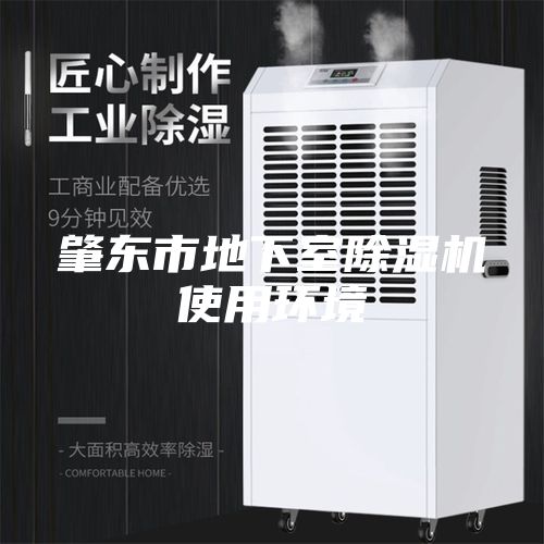 肇东市地下室除湿机使用环境