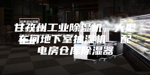 甘孜州工业除湿机，大型车间地下室抽湿机  配电房仓库除湿器