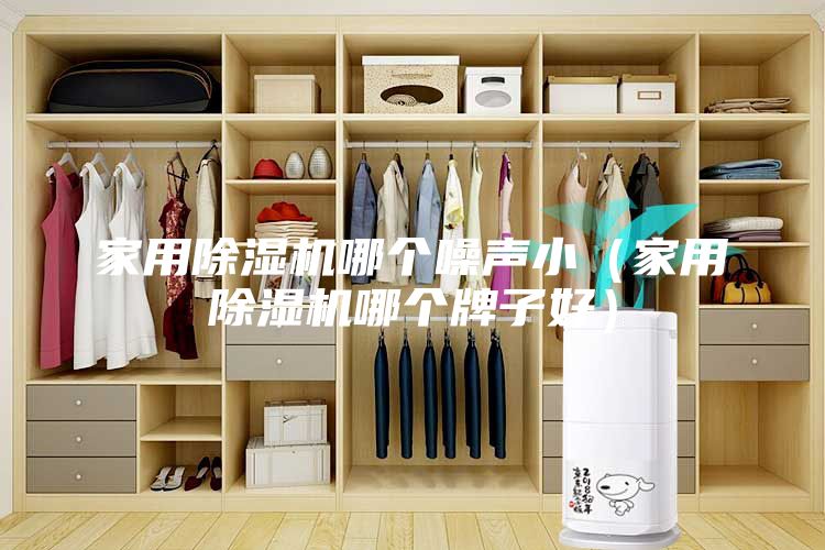 家用除湿机哪个噪声小（家用除湿机哪个牌子好）