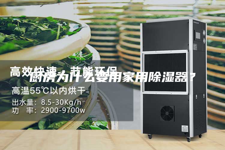 厨房为什么要用家用除湿器？