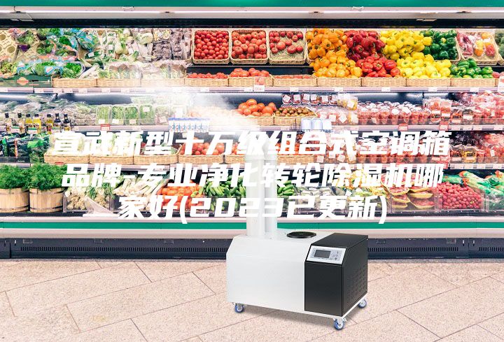 宣武新型十万级组合式空调箱品牌-专业净化转轮除湿机哪家好(2023已更新)