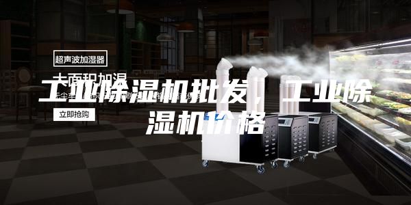 工业除湿机批发，工业除湿机价格