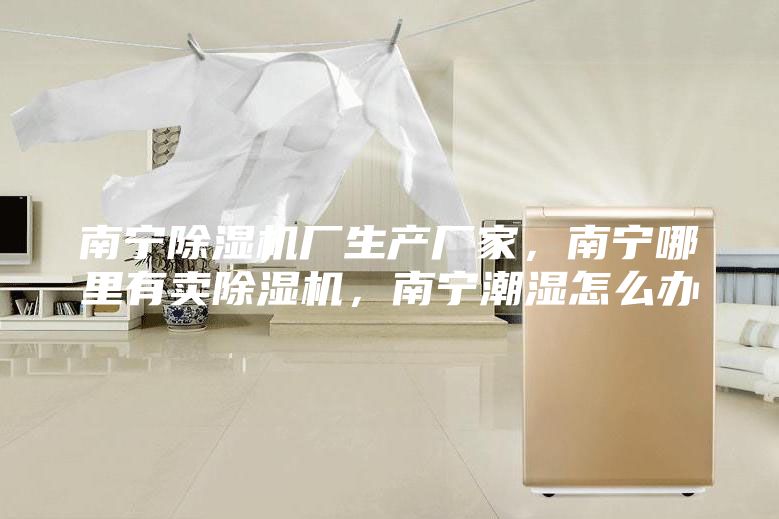 南宁除湿机厂生产厂家，南宁哪里有卖除湿机，南宁潮湿怎么办