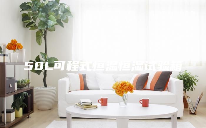 50L可程式恒温恒湿试验箱
