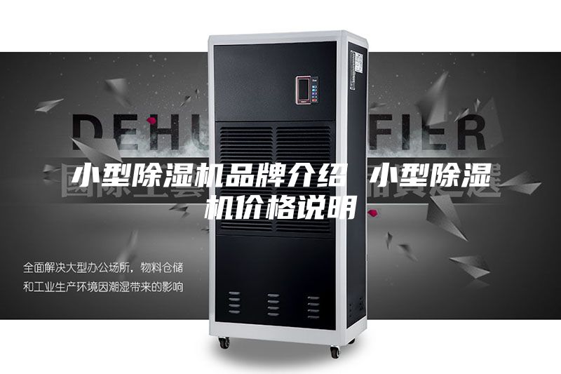 小型除湿机品牌介绍 小型除湿机价格说明