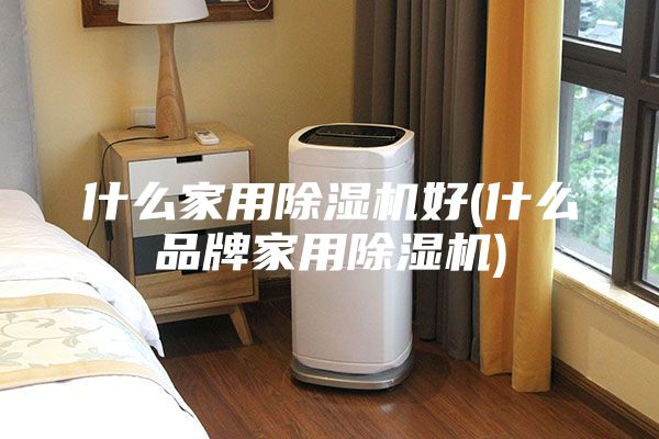 什么家用除湿机好(什么品牌家用除湿机)