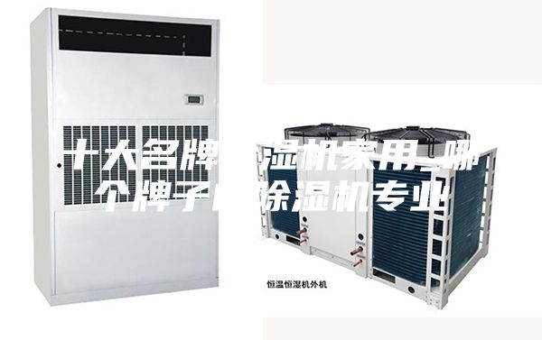 十大名牌除湿机家用_哪个牌子的除湿机专业