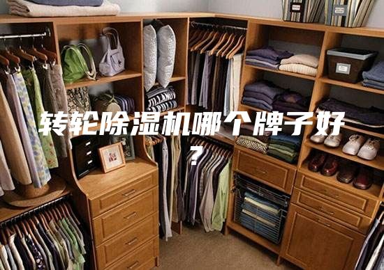转轮除湿机哪个牌子好？