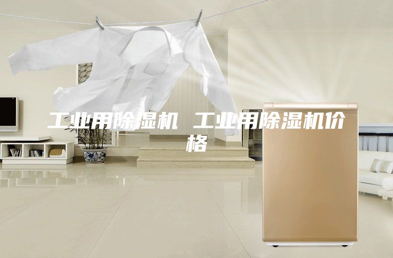 工业用除湿机 工业用除湿机价格