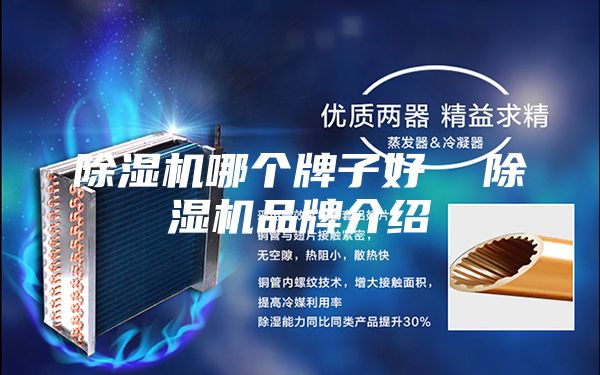 除湿机哪个牌子好  除湿机品牌介绍