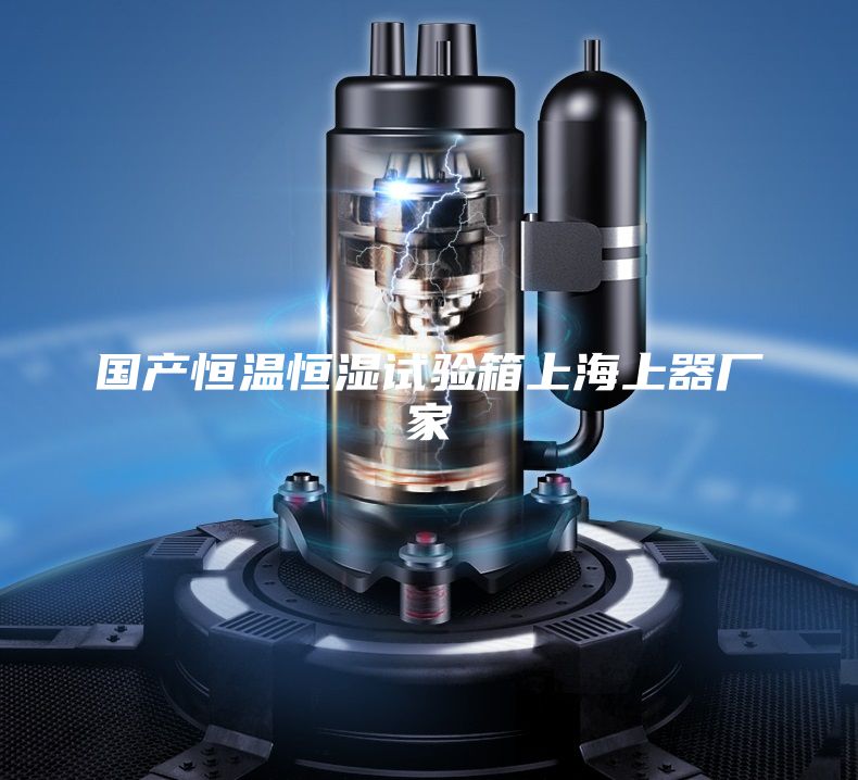 国产恒温恒湿试验箱上海上器厂家