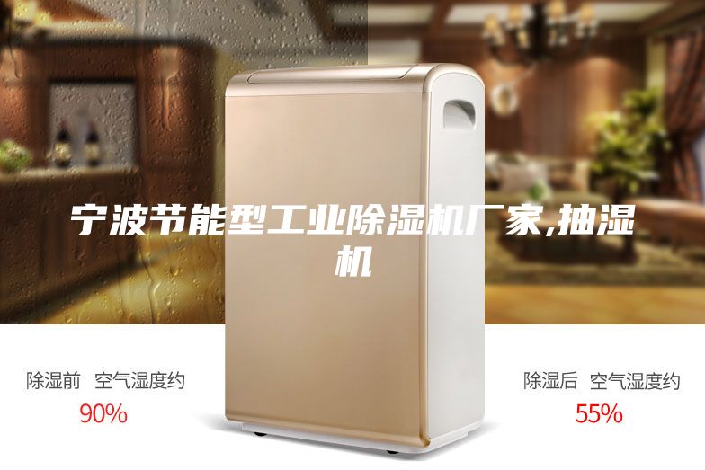 宁波节能型工业除湿机厂家,抽湿机