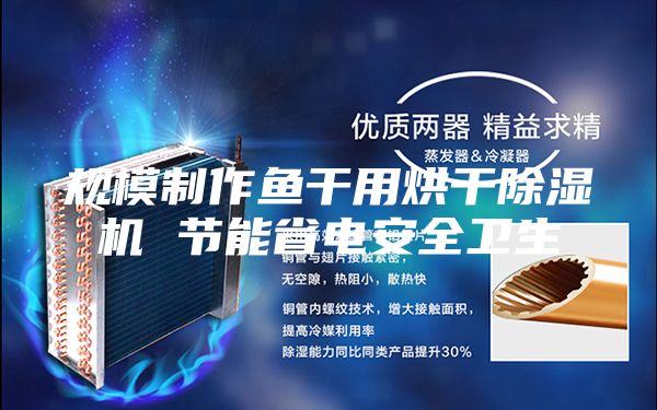 规模制作鱼干用烘干除湿机 节能省电安全卫生