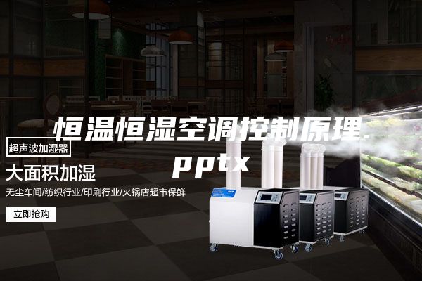 恒温恒湿空调控制原理.pptx