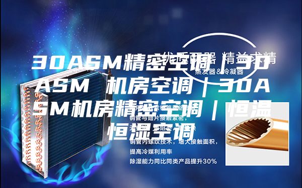 30ASM精密空调｜30ASM 机房空调｜30ASM机房精密空调｜恒温恒湿空调