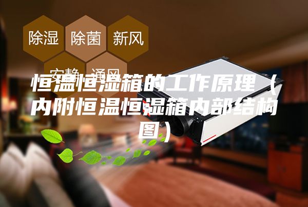 恒温恒湿箱的工作原理（内附恒温恒湿箱内部结构图）