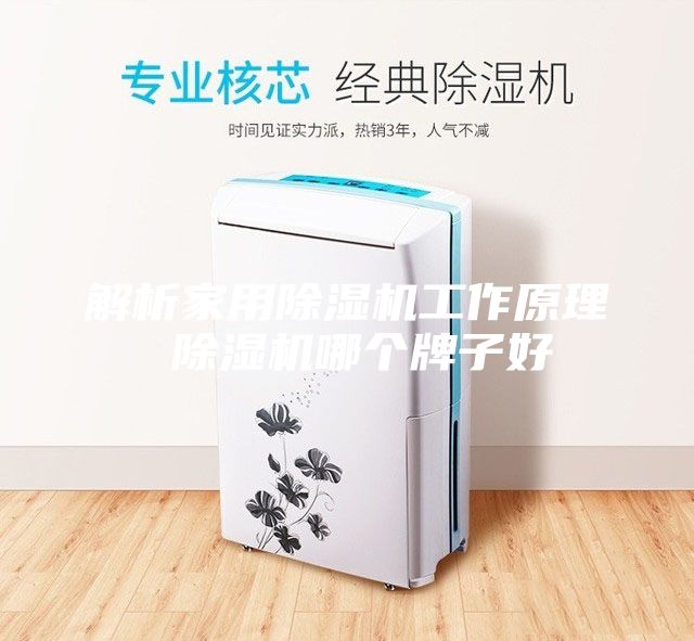 解析家用除湿机工作原理 除湿机哪个牌子好