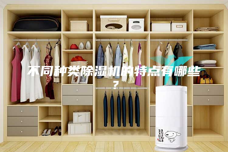 不同种类除湿机的特点有哪些？