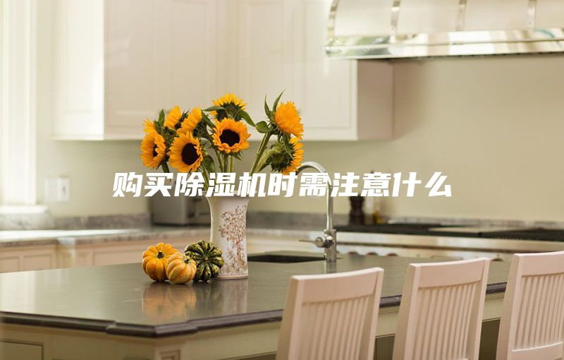购买除湿机时需注意什么