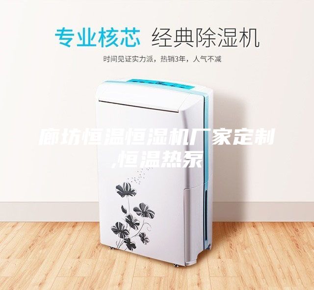 廊坊恒温恒湿机厂家定制,恒温热泵