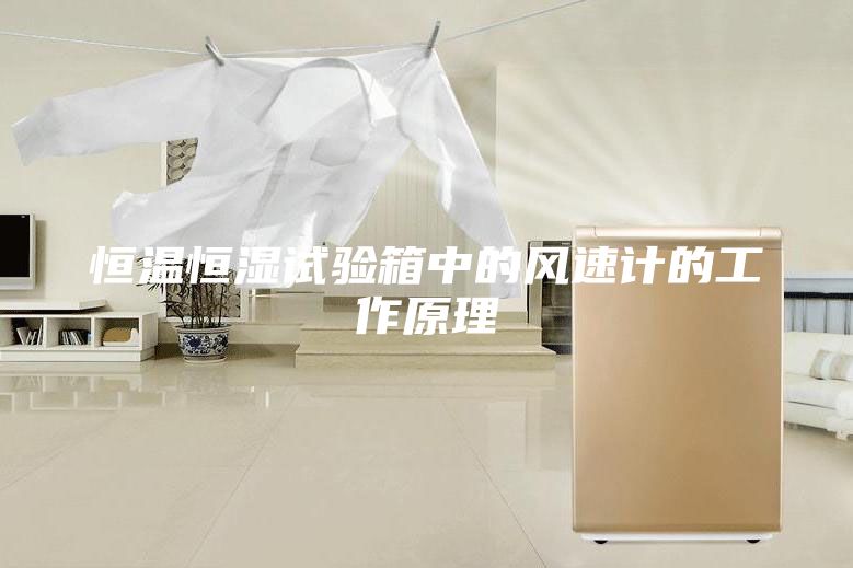 恒温恒湿试验箱中的风速计的工作原理