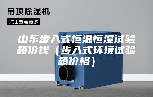 山东步入式恒温恒湿试验箱价钱（步入式环境试验箱价格）