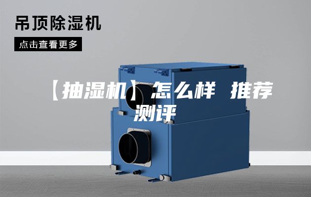 【抽湿机】怎么样 推荐 测评