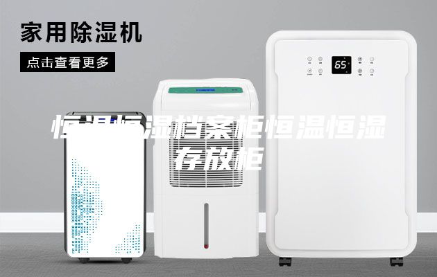 恒温恒湿档案柜恒温恒湿存放柜