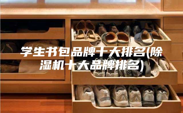 学生书包品牌十大排名(除湿机十大品牌排名)