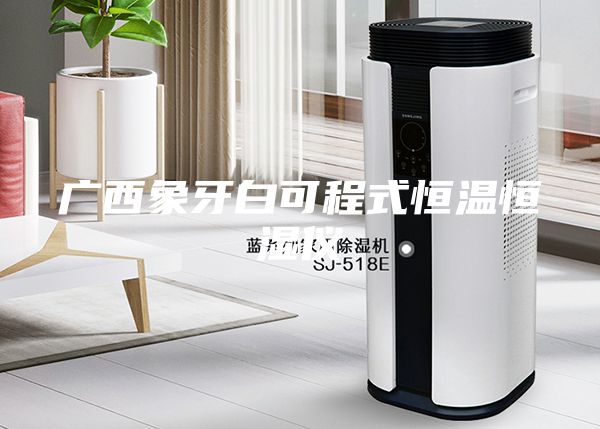 广西象牙白可程式恒温恒湿仪