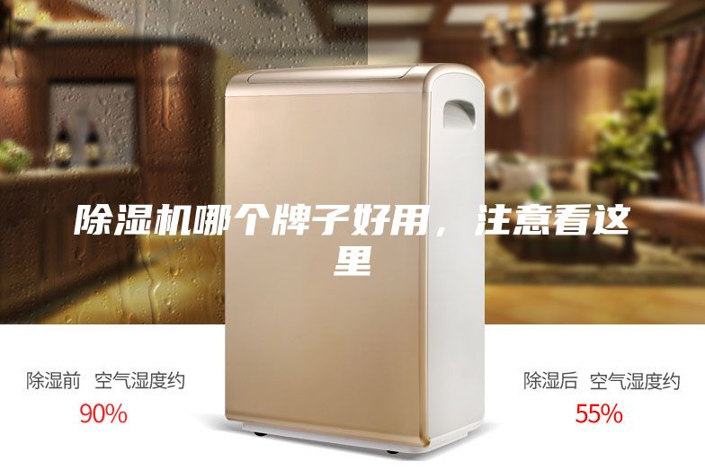 除湿机哪个牌子好用，注意看这里